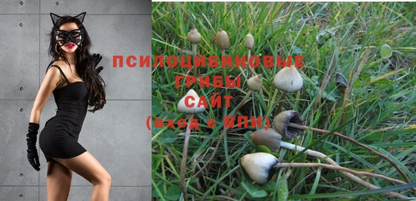 бошки Волоколамск