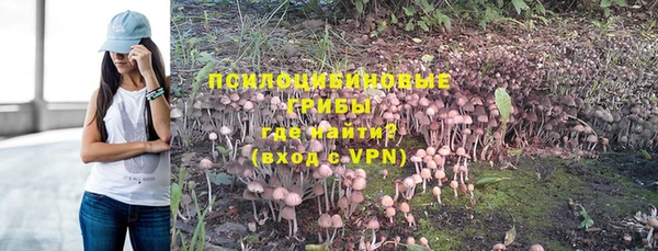 бошки Волоколамск