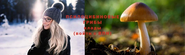 бошки Волоколамск