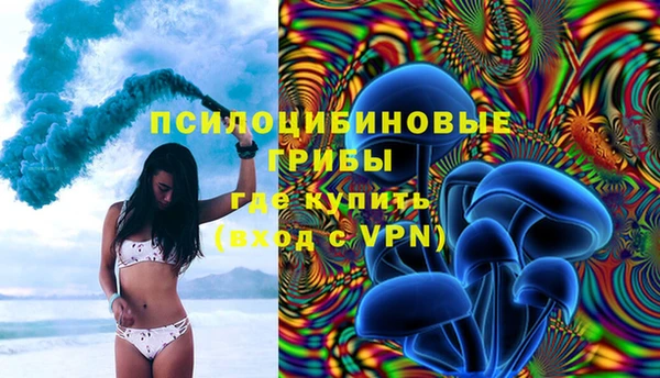 бошки Волоколамск