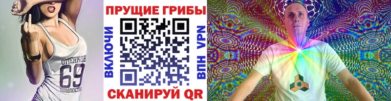 Галлюциногенные грибы MAGIC MUSHROOMS  Карасук 